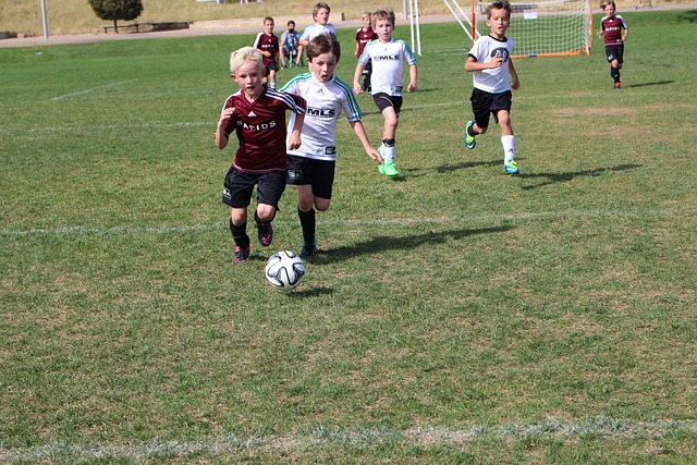 的冠军之争 的冠军之争